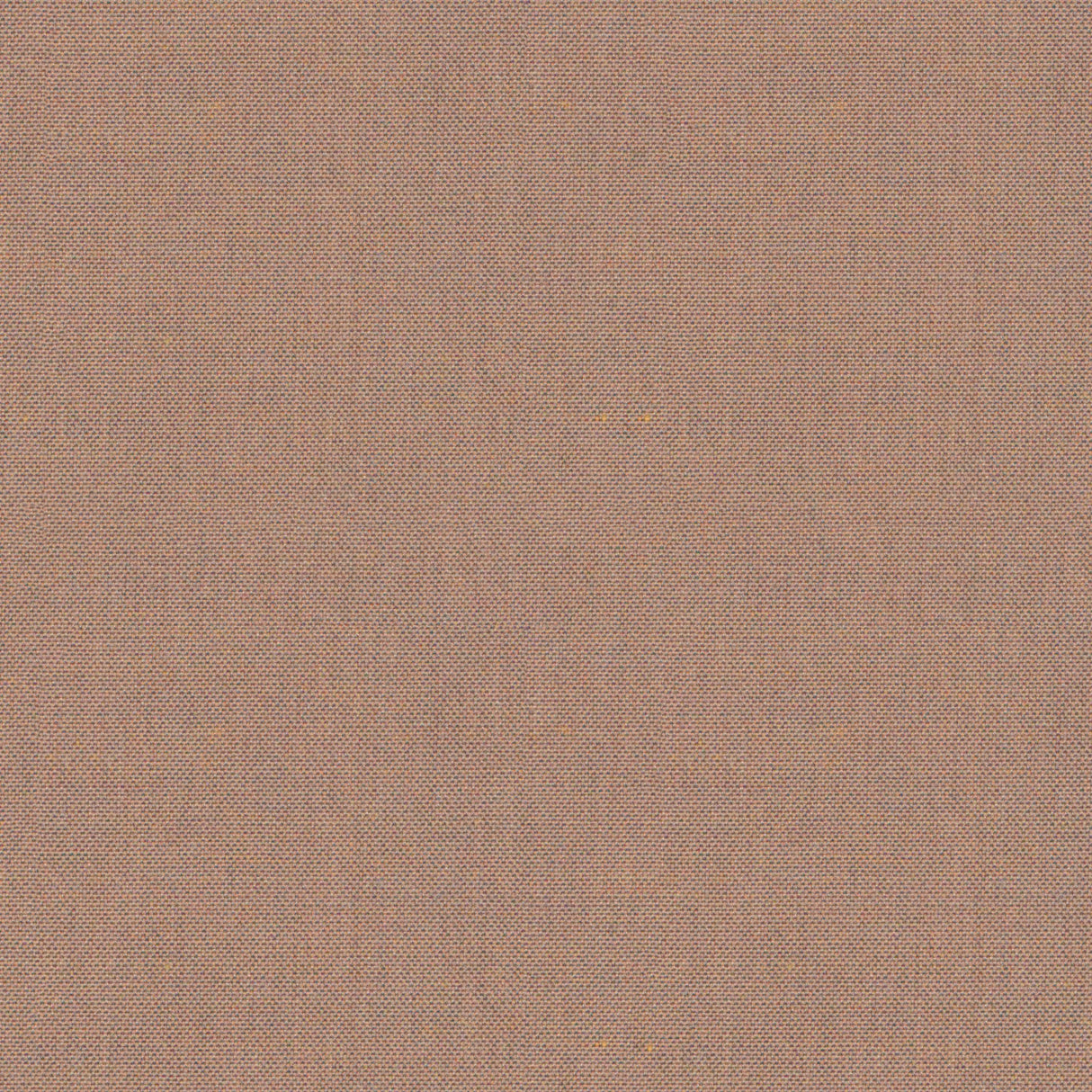 Blend - Winter Twig