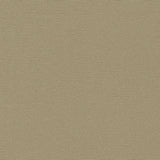 Pure - Earled Ivory