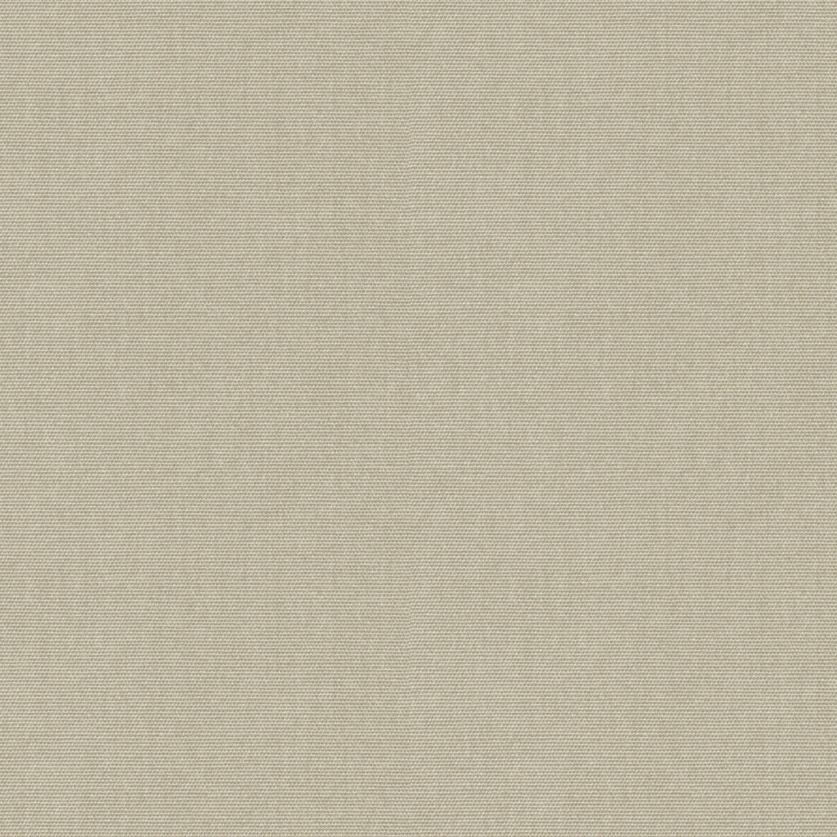 Pure - Earled Ivory
