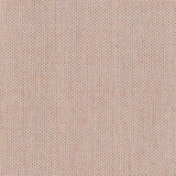 Point - Apricot Gelato