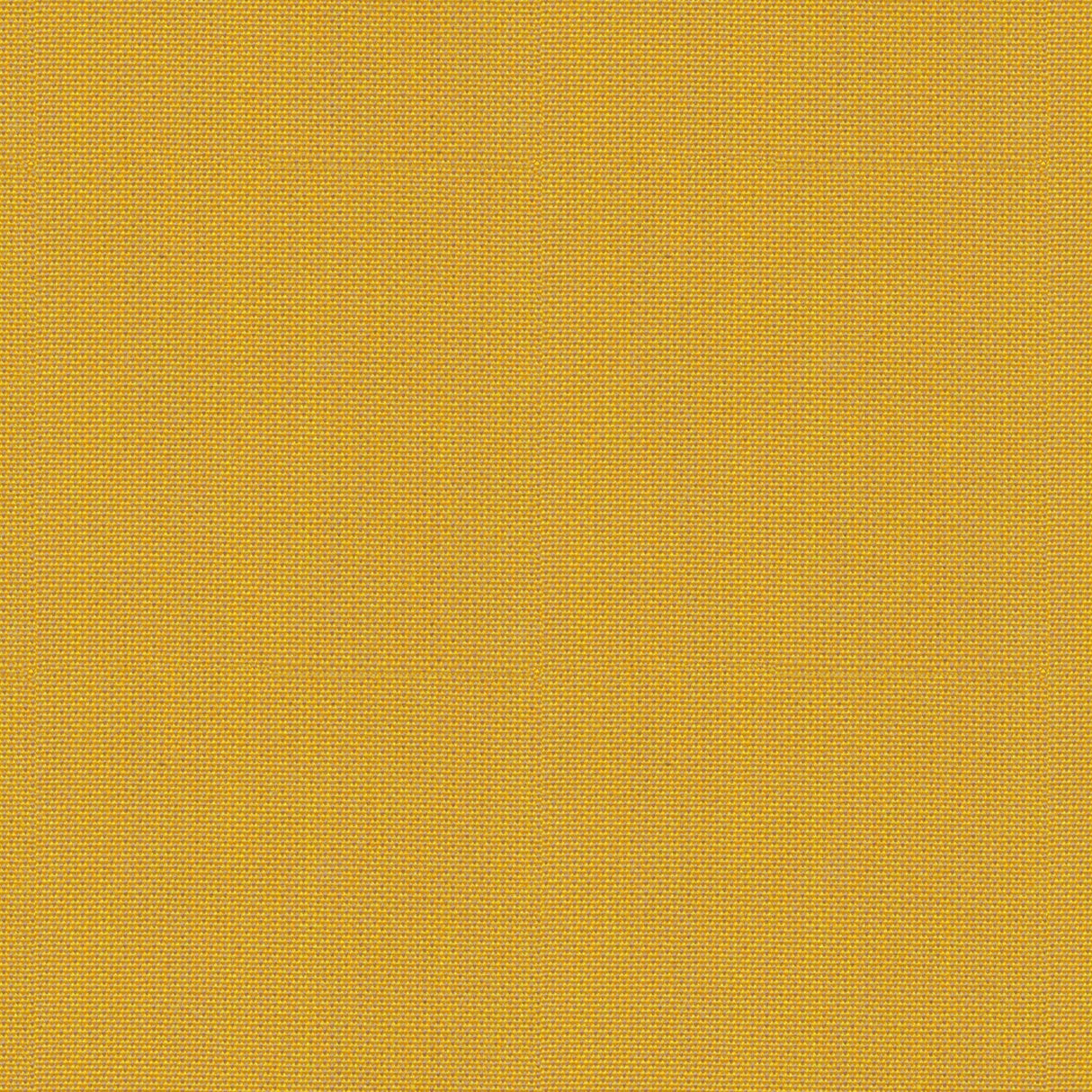 Point - Golden Rod