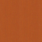 Point - Apricot Gelato