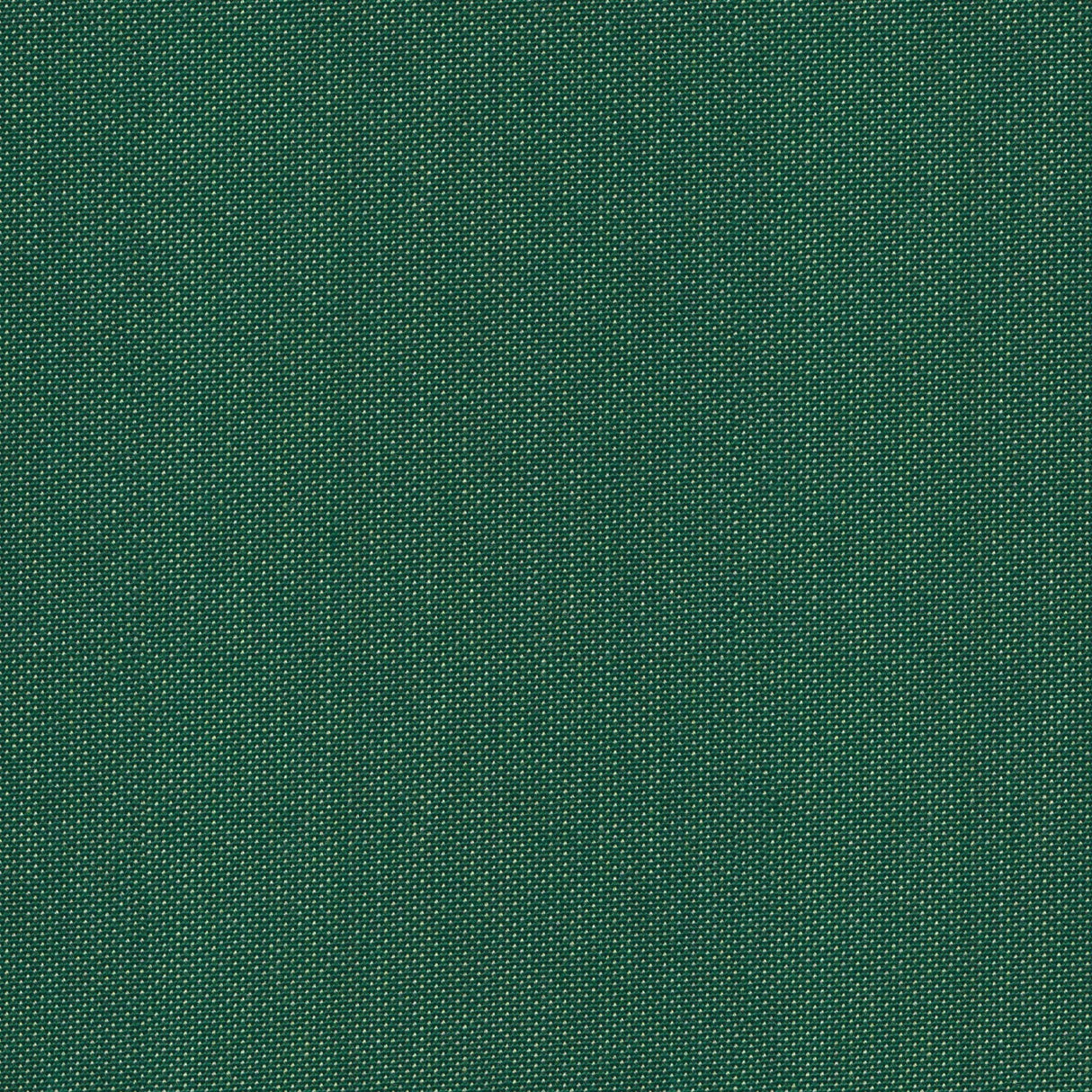 Point - Golden Rod