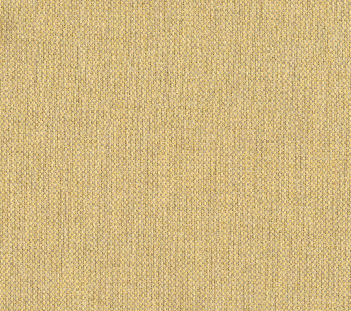 Sailcloth - Yellow