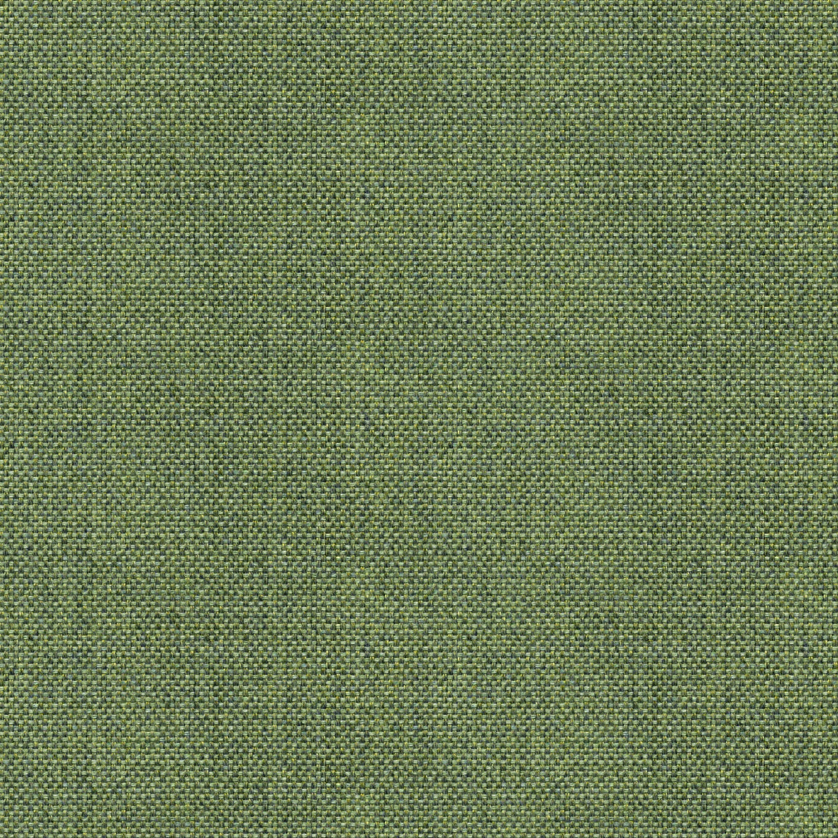 Sailcloth - Reed Yellow