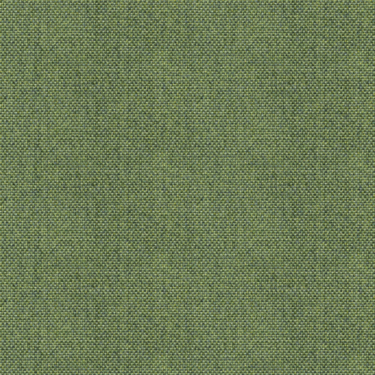 Sailcloth - Wheat