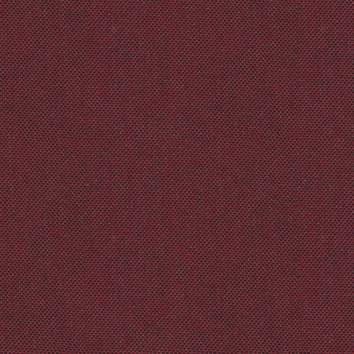 Sailcloth - Cedar