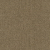 Nostalgia - Brown Rice