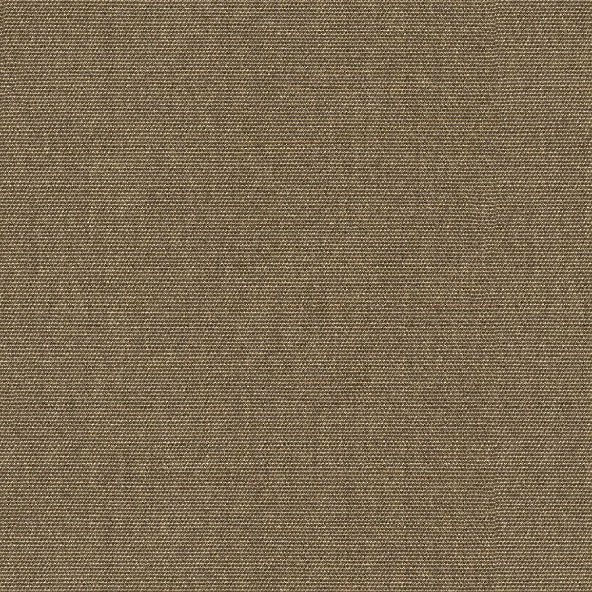 Nostalgia - Bone Brown