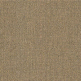 Nostalgia - Brown Rice