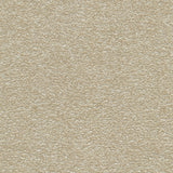Desert - Dune