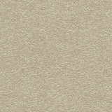 Desert - Limestone