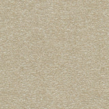 Desert - Warm Sand