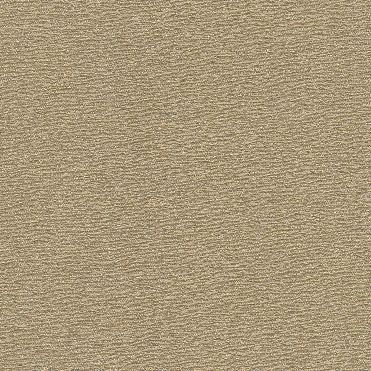 Desert - Dune