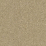 Desert - Dune