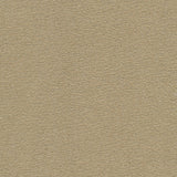 Desert - Limestone