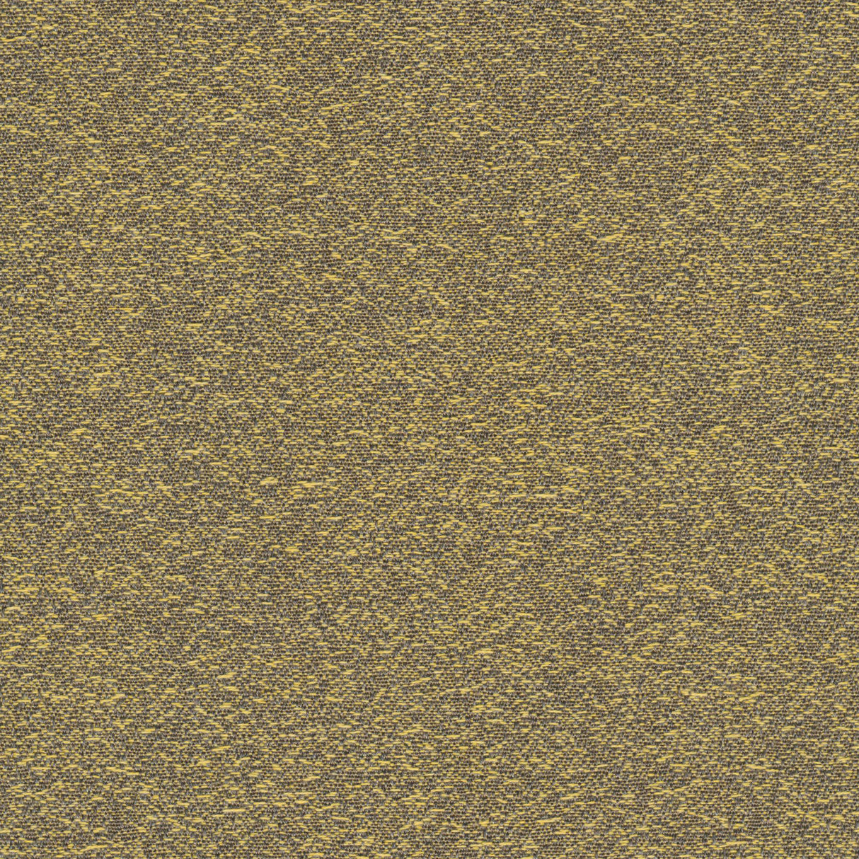 Desert - Dune