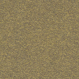 Desert - Dune