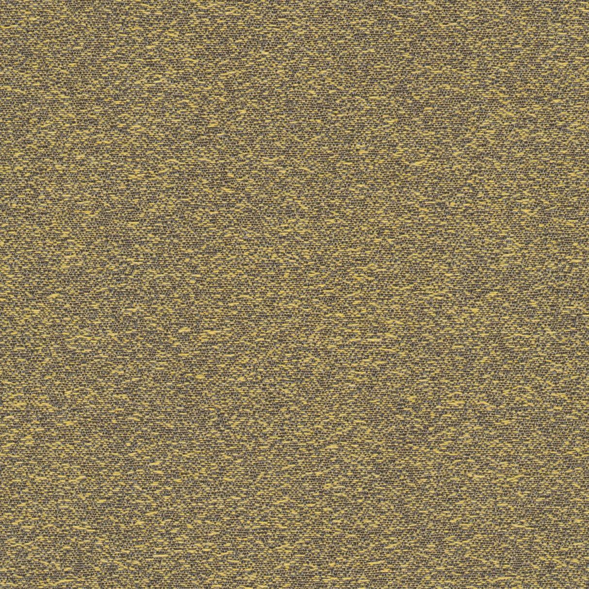 Desert - Starlight Grey