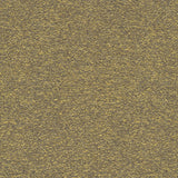 Desert - Starlight Grey