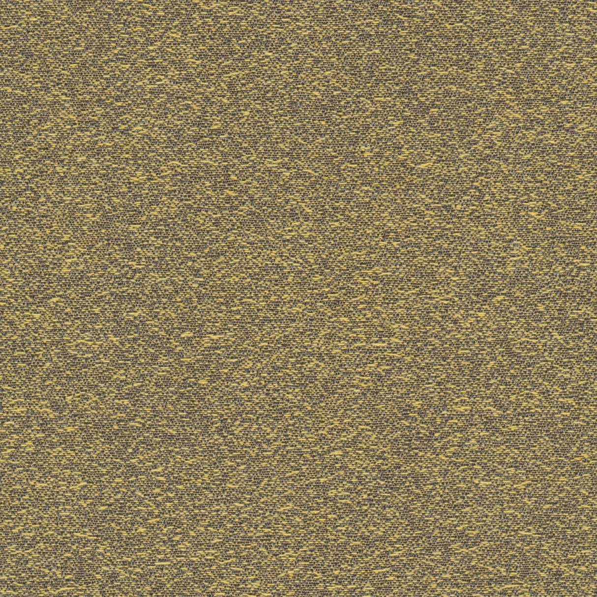 Desert - Warm Sand