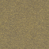 Desert - Warm Sand
