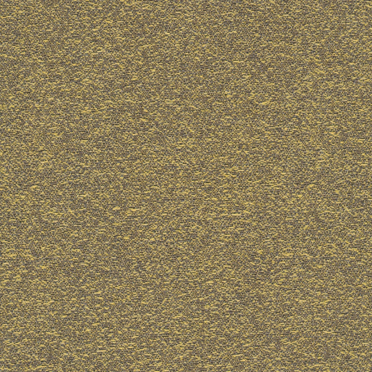 Desert - Snow Green