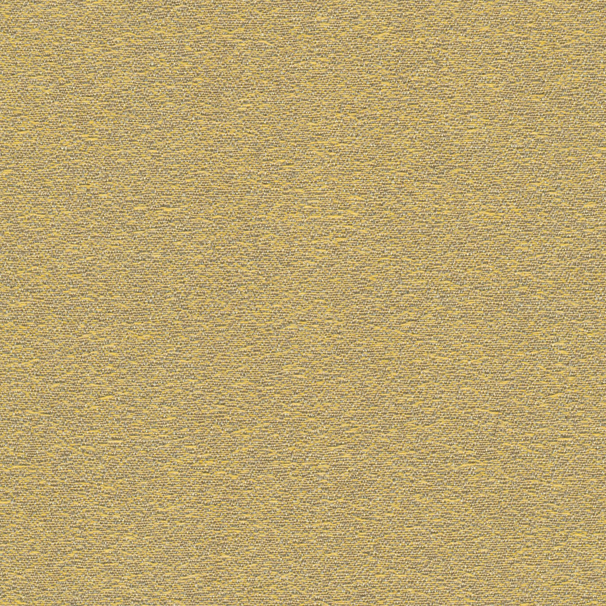 Desert - Dune