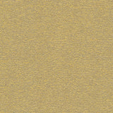 Desert - Dune