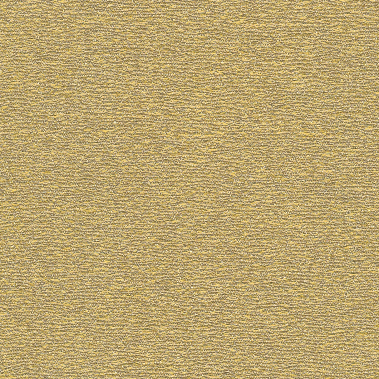 Desert - Snow Green