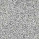 Desert - Dune