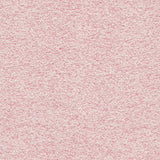 Desert - Starlight Grey