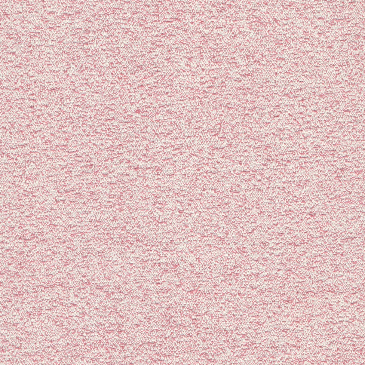 Desert - Snow Green