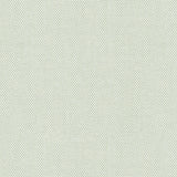 Canvas - Frost White
