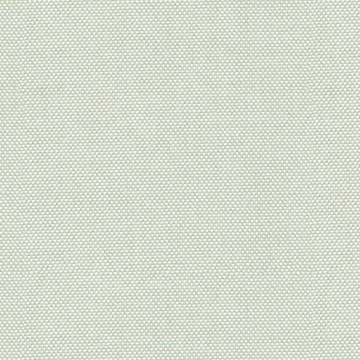 Canvas - Teak