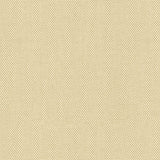 Canvas - Frost White