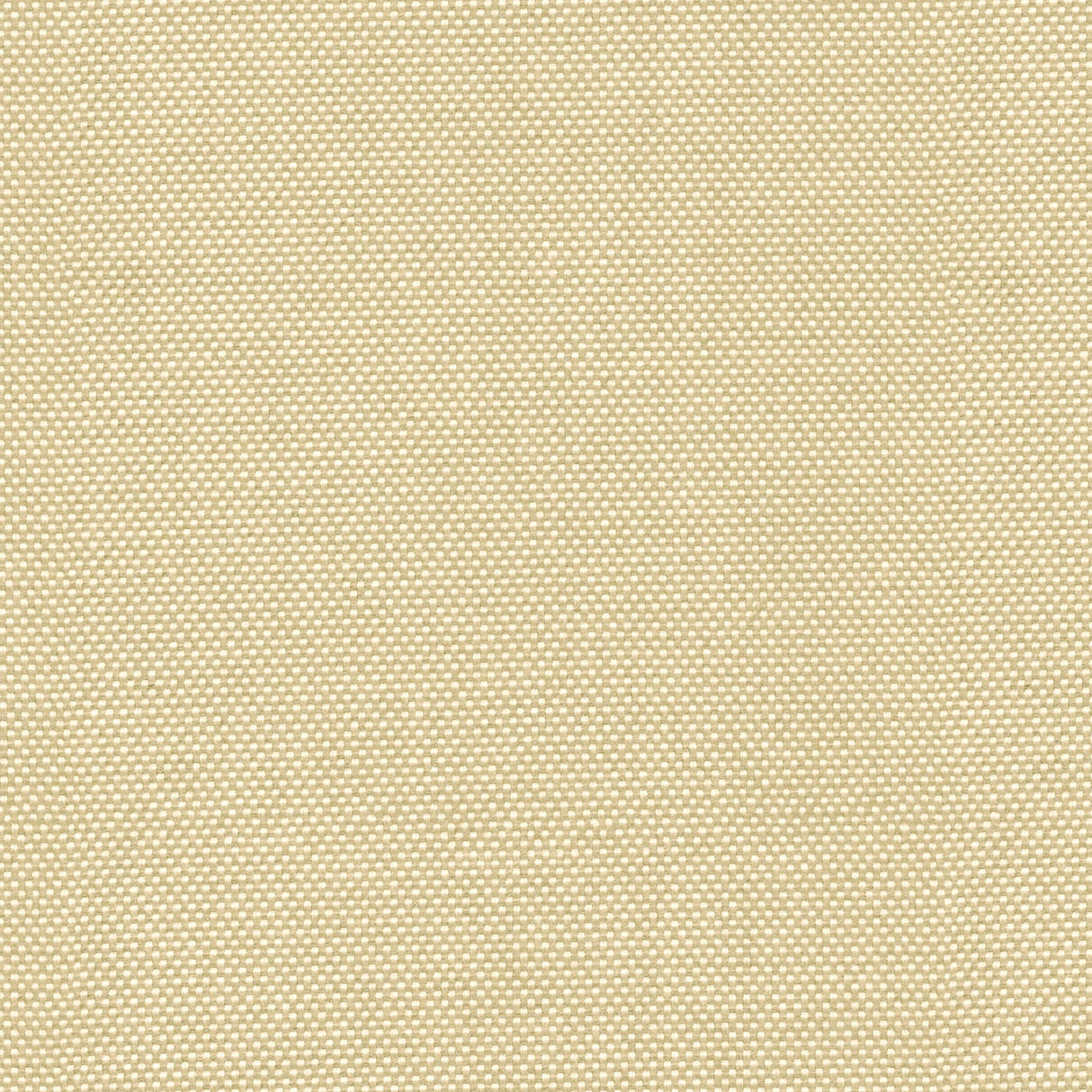 Canvas - Warm Sand