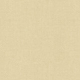 Canvas - Warm Sand