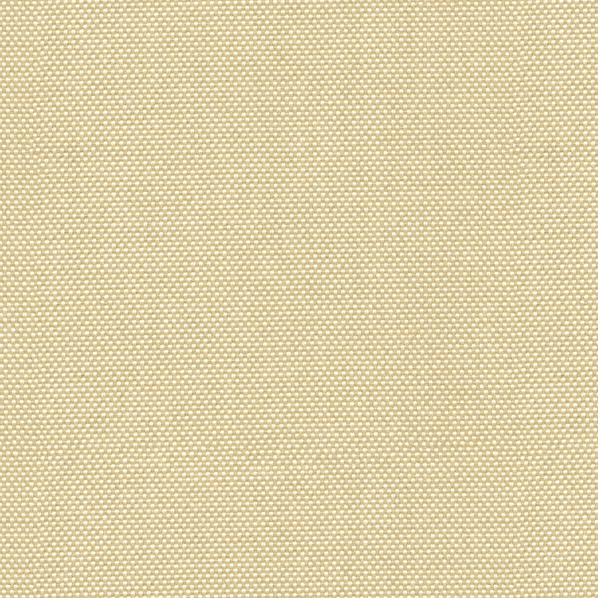 Canvas - Teak