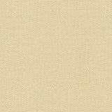 Canvas - Teak