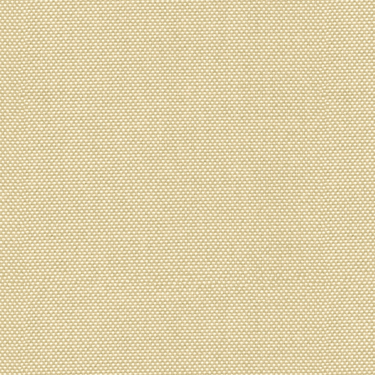 Canvas - River Sand