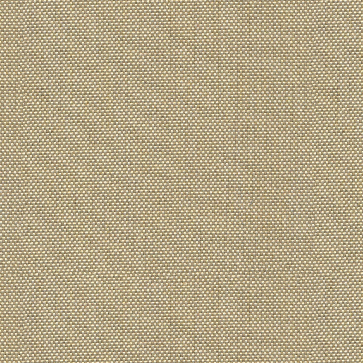 Canvas - Teak