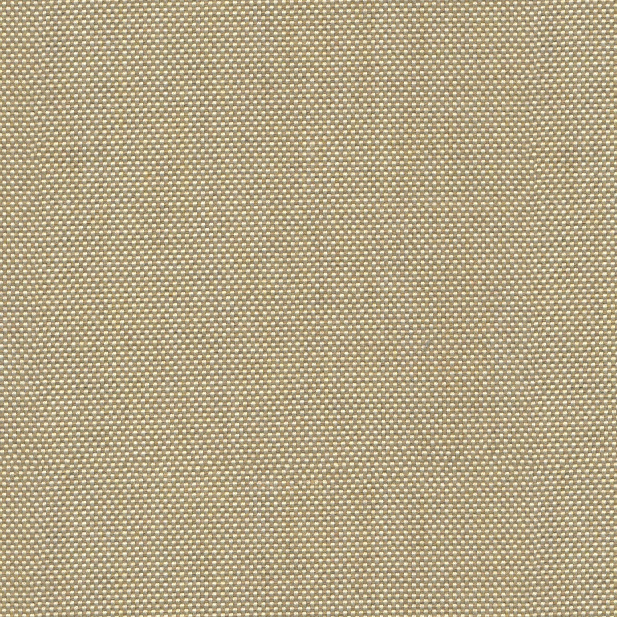 Canvas - Warm Sand