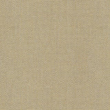Canvas - Warm Sand