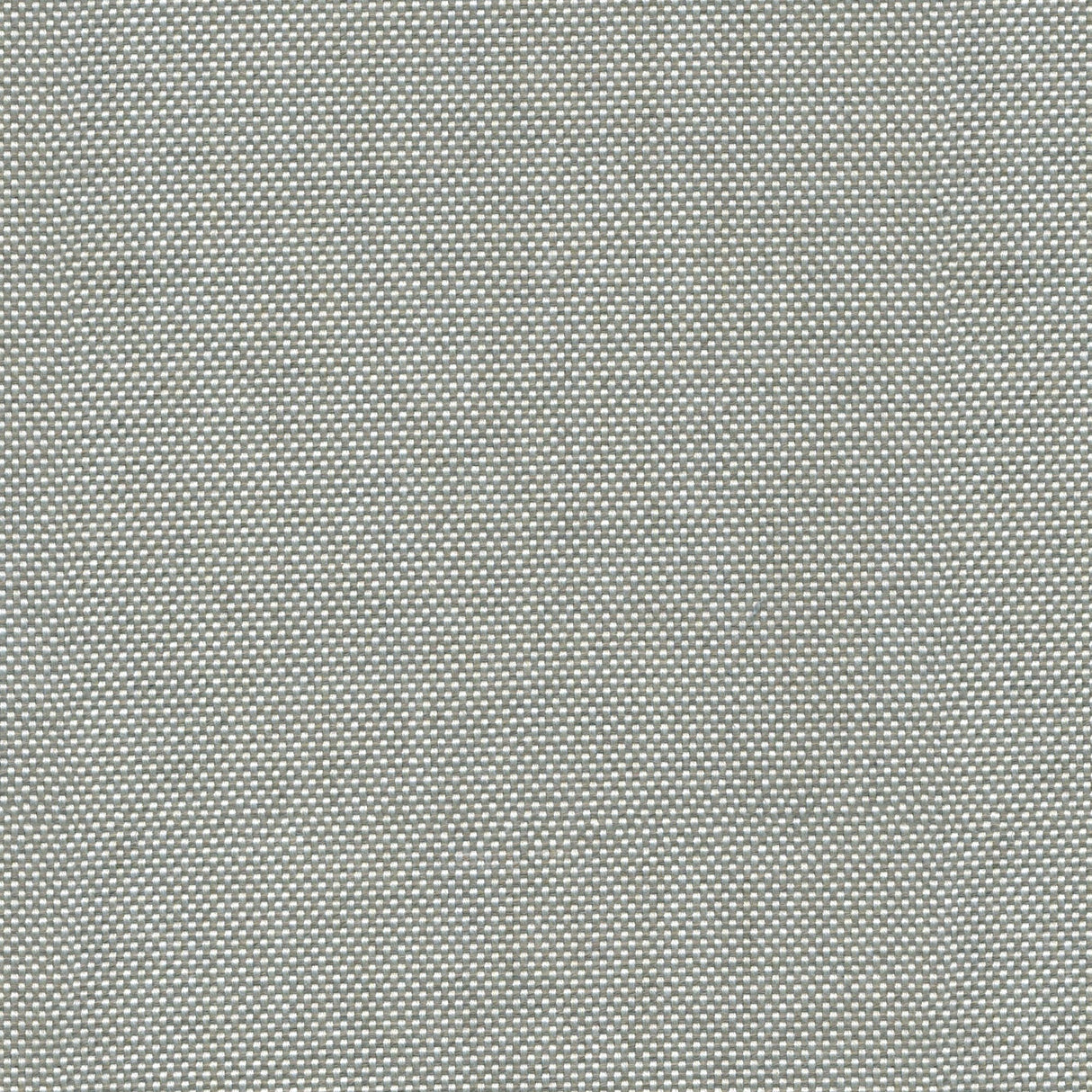 Canvas - Teak