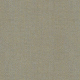 Canvas - Frost White