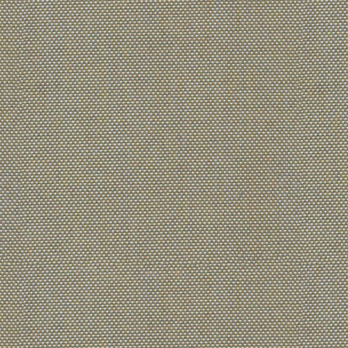 Canvas - River Sand