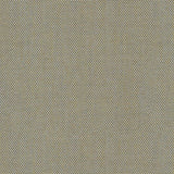 Canvas - Carbon Black