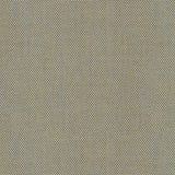 Canvas - Prairie Sand
