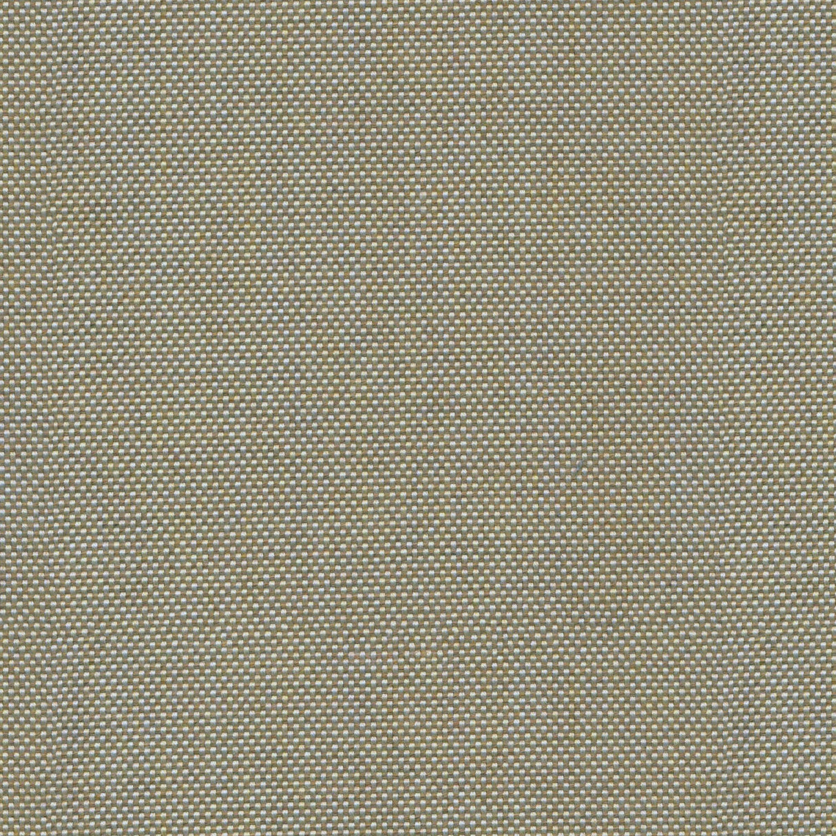 Canvas - Teak